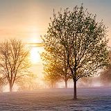 Rideau Canal Sunrise_23548